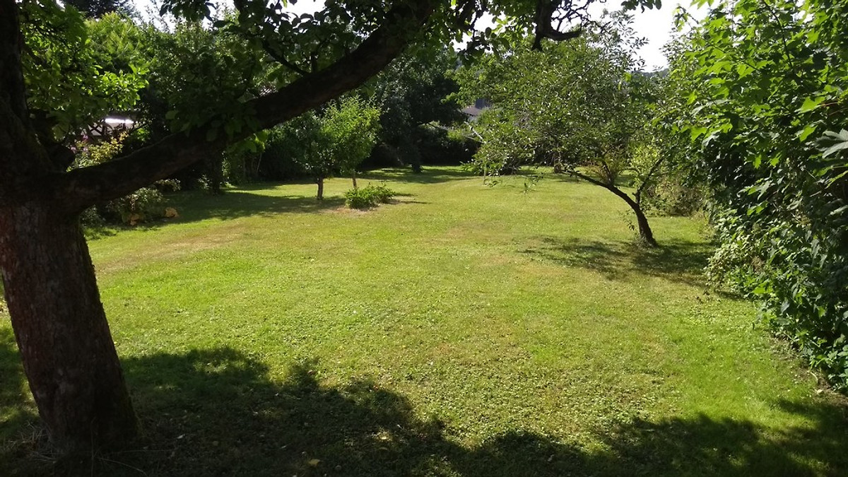Weitläufiger Garten mit alten Obstbäumen